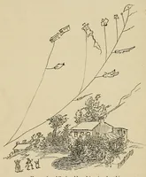 An illustration from Outdoor games for all seasons (1896)