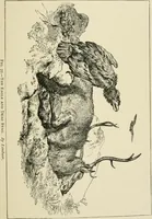 An illustration from An outline history of painting for young people and students (1883)