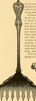 An illustration from An outline of the life and works of Col. Paul Revere; with a partial catalogue of silverware bearing his name (1901)