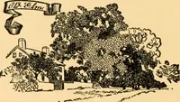 An illustration from An outline of the life and works of Col. Paul Revere; with a partial catalogue of silverware bearing his name (1901)