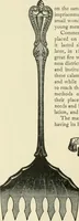 An illustration from An outline of the life and works of Col. Paul Revere; with a partial catalogue of silverware bearing his name (1901)