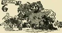 An illustration from An outline of the life and works of Col. Paul Revere; with a partial catalogue of silverware bearing his name (1901)