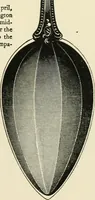 An illustration from An outline of the life and works of Col. Paul Revere; with a partial catalogue of silverware bearing his name (1901)
