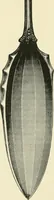 An illustration from An outline of the life and works of Col. Paul Revere; with a partial catalogue of silverware bearing his name (1901)