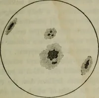 An illustration from Outlines of astronomy (1850)
