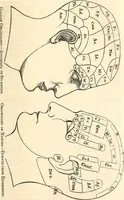 An illustration from Outlines of lectures on the neurological system of anthropology, as discovered, demonstrated and taught in 1841 and 1842 (1854)