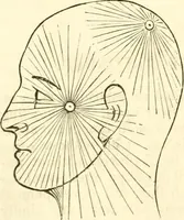 Picture 19 of 43 from Outlines of lectures on the neurological system of anthropology, as discovered, demonstrated and taught in 1841 and 1842 (1854), leaf 117