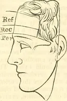 An illustration from Outlines of lectures on the neurological system of anthropology, as discovered, demonstrated and taught in 1841 and 1842 (1854)