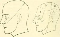 An illustration from Outlines of lectures on the neurological system of anthropology, as discovered, demonstrated and taught in 1841 and 1842 (1854)