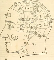 An illustration from Outlines of lectures on the neurological system of anthropology, as discovered, demonstrated and taught in 1841 and 1842 (1854)