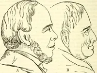 An illustration from Outlines of lectures on the neurological system of anthropology, as discovered, demonstrated and taught in 1841 and 1842 (1854)