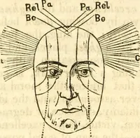 Picture 30 of 43 from Outlines of lectures on the neurological system of anthropology, as discovered, demonstrated and taught in 1841 and 1842 (1854), leaf 313