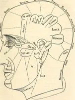 An illustration from Outlines of lectures on the neurological system of anthropology, as discovered, demonstrated and taught in 1841 and 1842 (1854)
