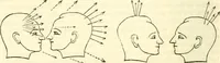 Picture 40 of 43 from Outlines of lectures on the neurological system of anthropology, as discovered, demonstrated and taught in 1841 and 1842 (1854), leaf 343