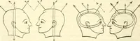 Picture 41 of 43 from Outlines of lectures on the neurological system of anthropology, as discovered, demonstrated and taught in 1841 and 1842 (1854), leaf 343