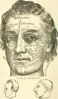 An illustration from Outlines of lectures on the neurological system of anthropology, as discovered, demonstrated and taught in 1841 and 1842 (1854)