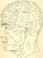 Picture 2 of 43 from Outlines of lectures on the neurological system of anthropology, as discovered, demonstrated and taught in 1841 and 1842 (1854), leaf 5