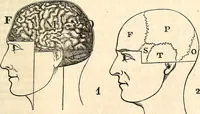 An illustration from Outlines of lectures on the neurological system of anthropology, as discovered, demonstrated and taught in 1841 and 1842 (1854)