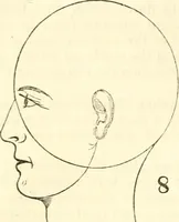 An illustration from Outlines of lectures on the neurological system of anthropology, as discovered, demonstrated and taught in 1841 and 1842 (1854)