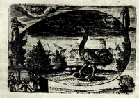Picture 21 of 57 from Ova Paschalia sacro emblemate inscripta descriptaq[ue] (1635), leaf 243