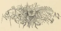 Picture 2 of 5 from The overthrow of American slavery, containing descriptions of important events and sketches of some of the prominent actors (1885), leaf 52