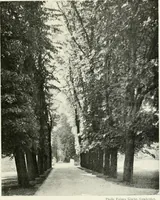 An illustration from Oxford & Cambridge (1909)