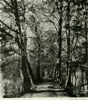 An illustration from Oxford & Cambridge (1909)