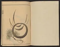 An illustration from Ōkyo gafu (1893)