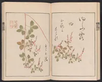 Picture 5 of 7 from Ōson fuga [i.e. gafu] (1817), leaf 17