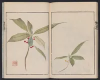 An illustration from Ōson fuga [i.e. gafu] (1817)