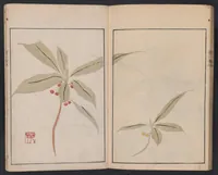 An illustration from Ōson gafu (1817)