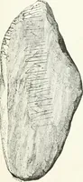 An illustration from De danske runemindesmaerker, forklarede (1864)