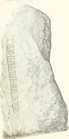 An illustration from De danske runemindesmaerker, forklarede (1864)