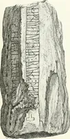 An illustration from De danske runemindesmaerker, forklarede (1864)