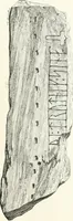 An illustration from De danske runemindesmaerker, forklarede (1864)