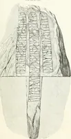 An illustration from De danske runemindesmaerker, forklarede (1864)