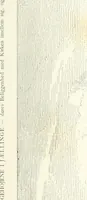 Picture 15 of 91 from De danske runemindesmaerker, forklarede (1864), leaf 52