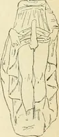 An illustration from Répertoire de la statuaire grecque et romaine (1908)