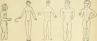 An illustration from Répertoire de la statuaire grecque et romaine (1908)
