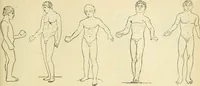 Picture 230 of 1008 from Répertoire de la statuaire grecque et romaine (1908), leaf 128