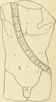 Picture 288 of 1008 from Répertoire de la statuaire grecque et romaine (1908), leaf 154