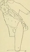 Picture 350 of 1008 from Répertoire de la statuaire grecque et romaine (1908), leaf 178