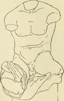 Picture 474 of 1008 from Répertoire de la statuaire grecque et romaine (1908), leaf 235