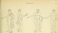 Picture 547 of 1008 from Répertoire de la statuaire grecque et romaine (1908), leaf 264