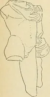 An illustration from Répertoire de la statuaire grecque et romaine (1908)