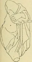 An illustration from Répertoire de la statuaire grecque et romaine (1908)