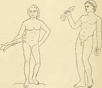 Picture 8 of 1008 from Répertoire de la statuaire grecque et romaine (1908), leaf 48