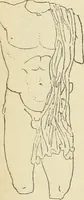 Picture 88 of 1008 from Répertoire de la statuaire grecque et romaine (1908), leaf 73