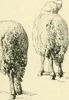 Picture 83 of 243 from Gazette des beaux-arts (1859), leaf 286