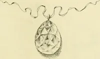 Picture 171 of 243 from Gazette des beaux-arts (1859), leaf 498